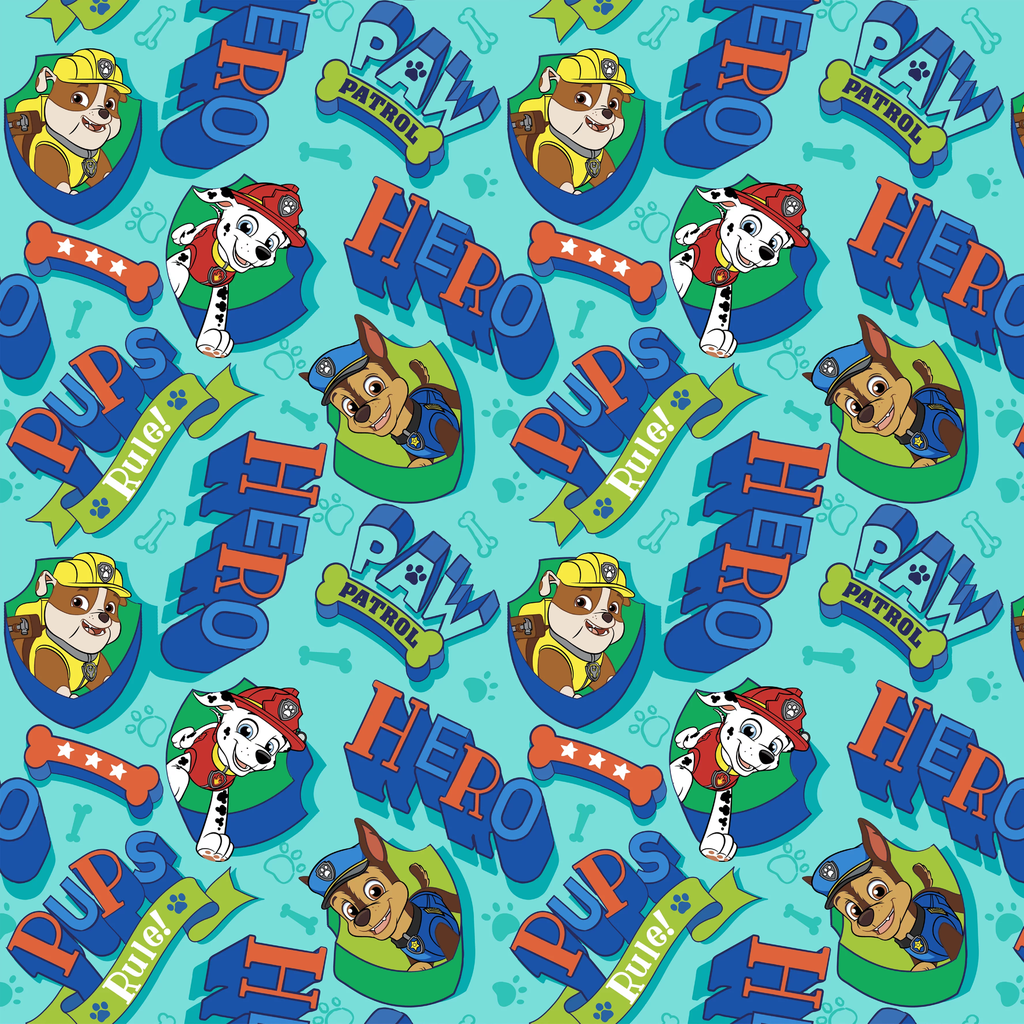 BRUSH ESTAMPADO PAW PATROL NIÑO FONDO VERDE AGUA