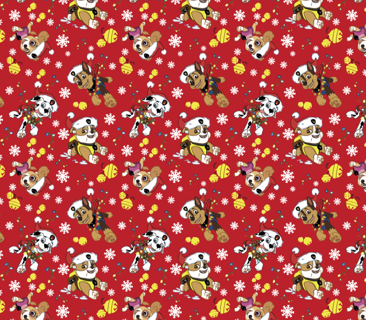 BRUSH ESTAMPADO PAW PATROL NIEVE PUNTOS