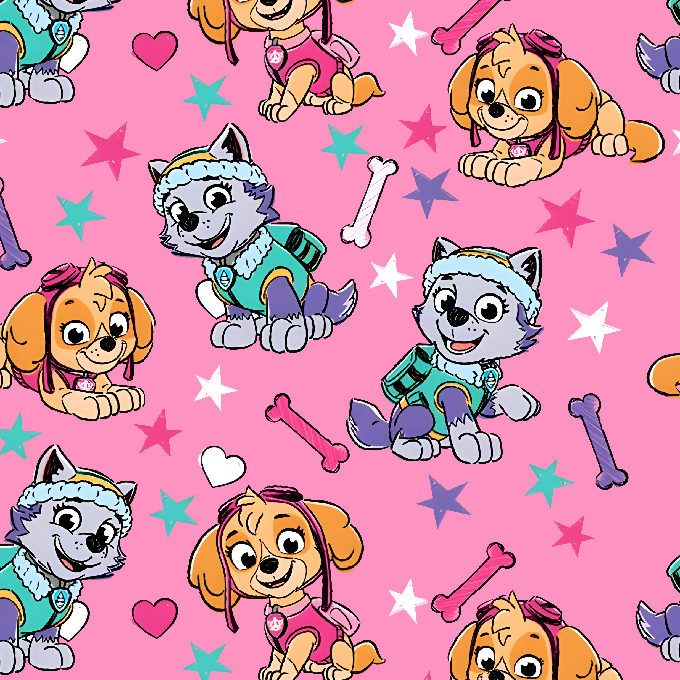 BRUSH ESTAMPADO PAWPATROL NIÑA SKY & EVEREST FONDO HUESOS & ESTRELLAS