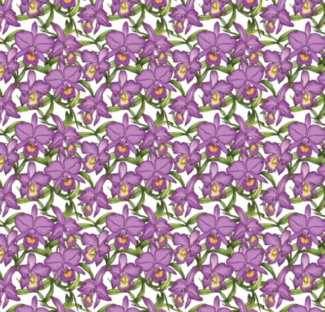 BRUSH ESTAMPADO GUARIA MORADA