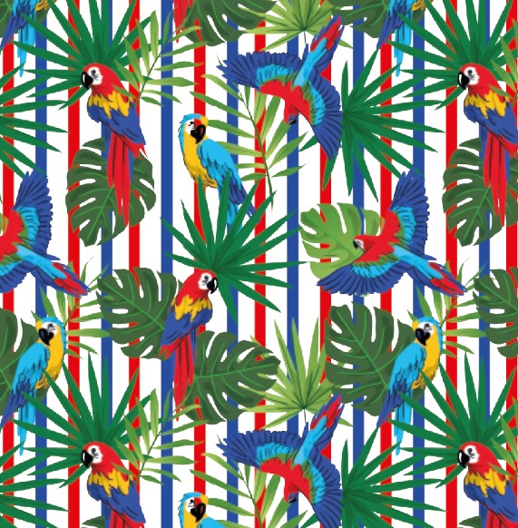 BRUSH ESTAMPADO RAYAS BANDERA