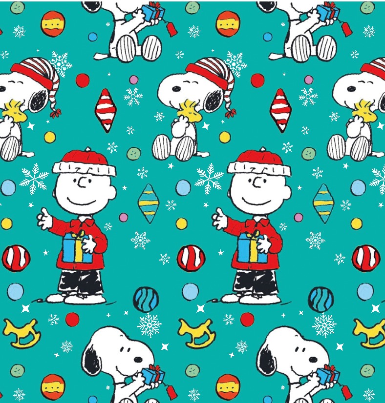 BRUSH ESTAMPADO SNOOPY Y AMIGOS NAV