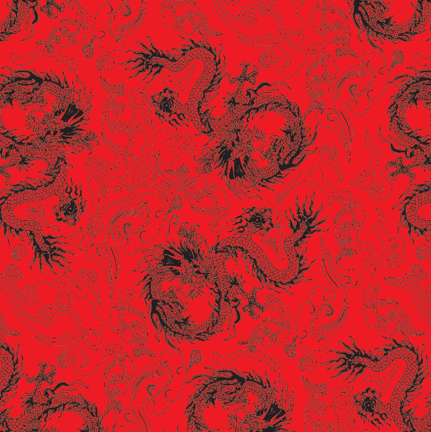 BRUSH ESTAMPADO CHINO ROJO