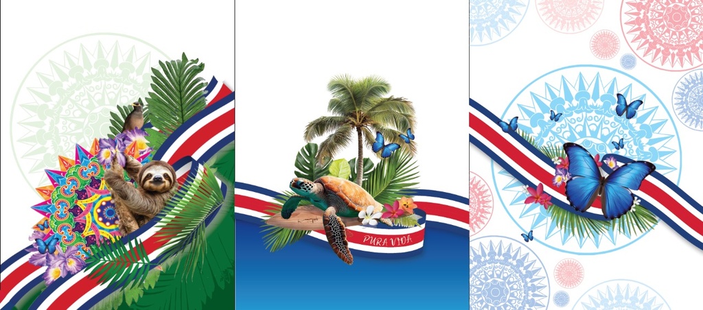 BRUSH ESTAMPADO FRENTE PATRIOTICO