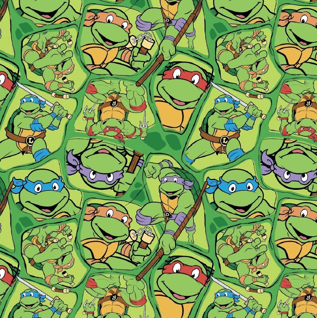 BRUSH ESTAMPADO TORTUGAS NINJA