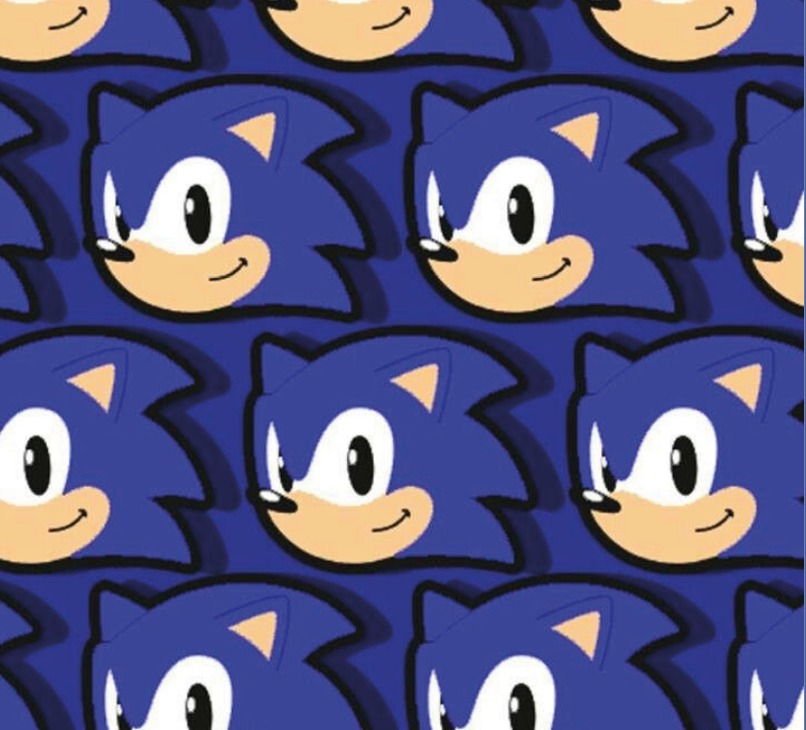 BRUSH ESTAMPADO PLANA SONIC