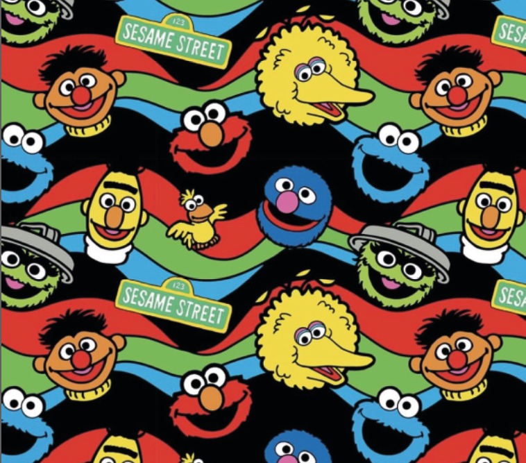 BRUSH ESTAMPADO SESAME STREET