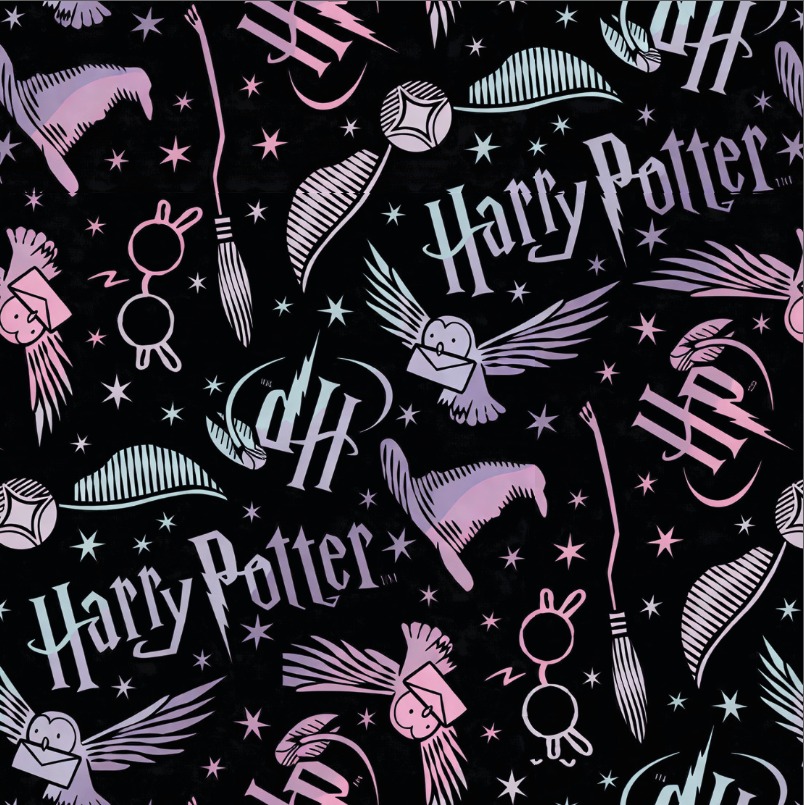 BRUSH ESTAMPADO HARRY POTTER FIGURAS