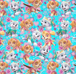 [DPW1001] BRUSH ESTAMPADO PAWPATROL FONDO TURQUESA