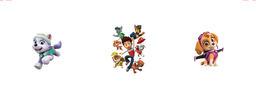 [FPA1000] BRUSH ESTAMPADO FRENTES BLANCO PAW PATROL NIÑA