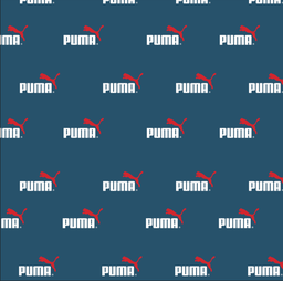 [MPU1000] BRUSH ESTAMPADO PUMA 0