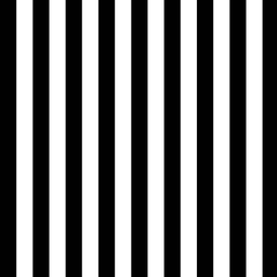 [RBE1000] BRUSH ESTAMPADO TRAJE BEETLEJUICE