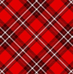 [NCR1009] BRUSH ESTAMPADO CUADROS CALADOS BLANCOS