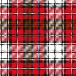 [NCR1011] BRUSH ESTAMPADO CUADROS BLANCOSY ROJO