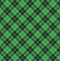 [NCR1013] BRUSH ESTAMPADO VERDE ROMBO NEGRO