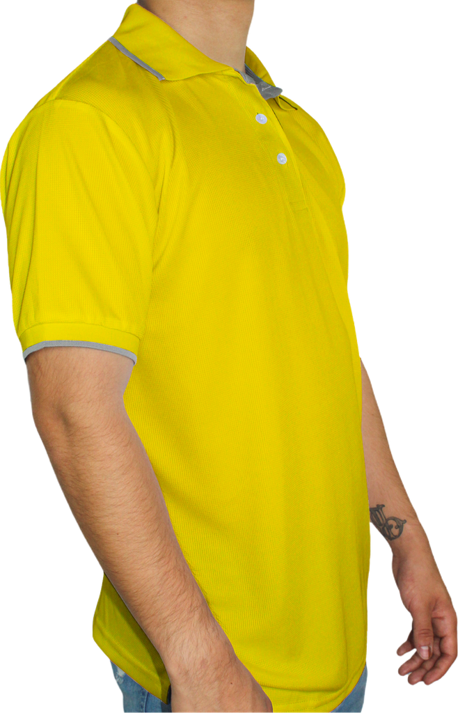 CAMISA POLO BRAVOS WAFFYT H