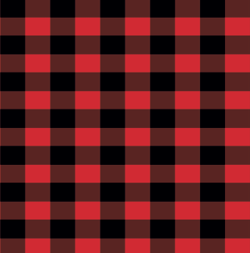 BRUSH ESTAMPADO CUADROS ROJOS Y NEGROS