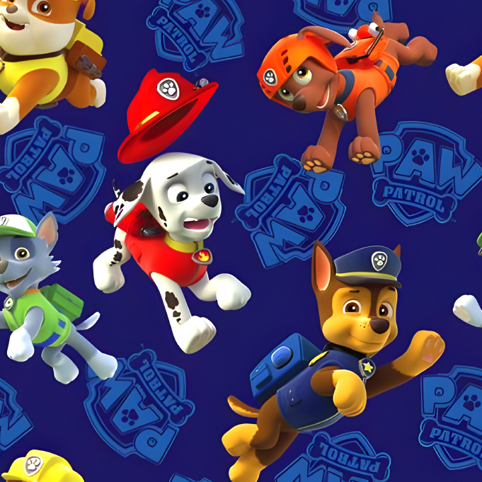 BRUSH ESTAMPADO PAW PATROL FONDO AZUL