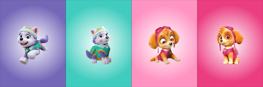 BRUSH ESTAMPADO FRENTES PAW PATROL NIÑA