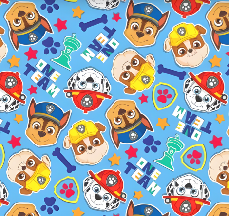 BRUSH ESTAMPADO PAW PATROL CARAS FONDO CELESTE
