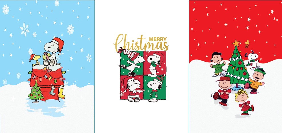 BRUSN ESTAMPADO FRENTE SNOOPY 3