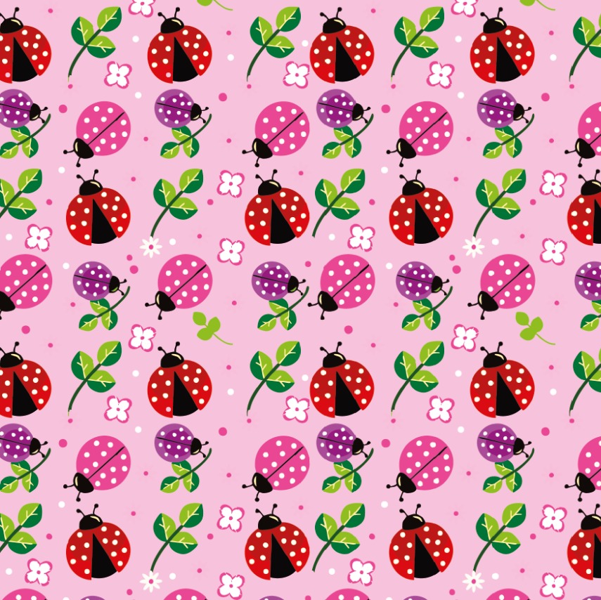 BRUSH ESTAMPADO MARIQUITAS Y FLORES ROSA