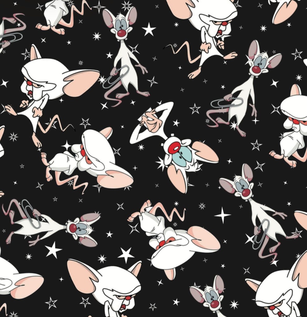 BRUSH ESTAMPADO PINKY Y CEREBRO