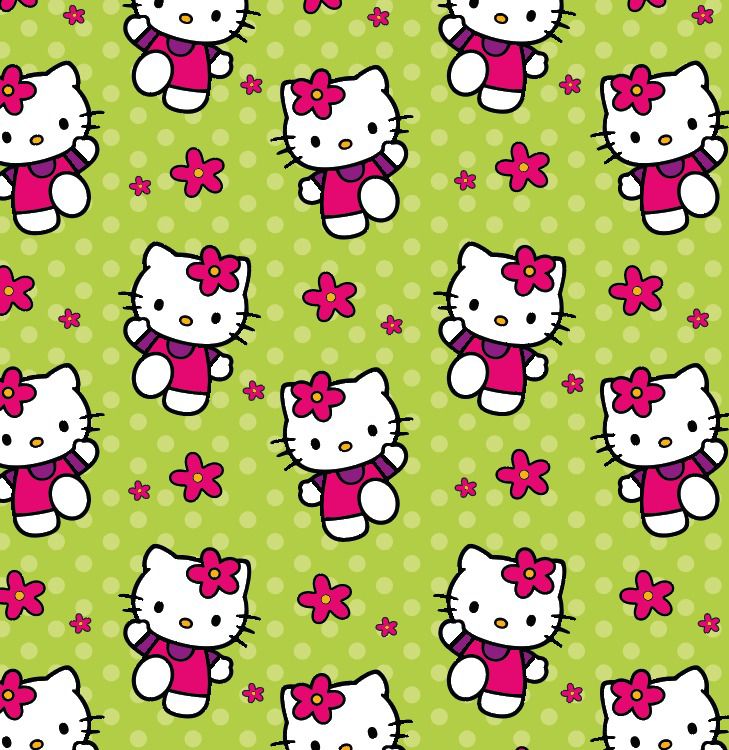 BRUSH ESTAMPADO HELLO KITTY VERDE