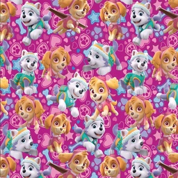 [DPW1000] BRUSH ESTAMPADO PAW PATROL FONDO FUCSIA