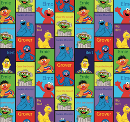 [VMO1000] BRUSH ESTAMPADO PLAZA SESAMO COLLAGE