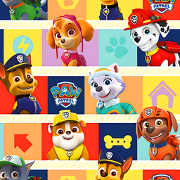 [VPP1003] BRUSH ESTAMPADO PAW PATROL CUADROS DE COLORES