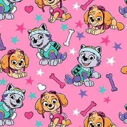 [DPW1002] BRUSH ESTAMPADO PAWPATROL NIÑA SKY & EVEREST FONDO HUESOS & ESTRELLAS