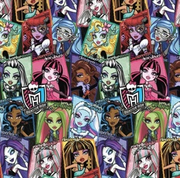[DMH1007] BRUSH ESTAMPADO MONSTER HIGH
