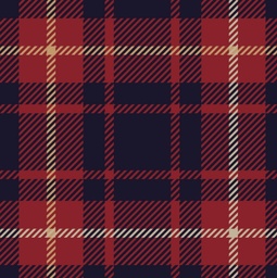 [NCR1010] BRUSH ESTAMPADO VINO CUADROS