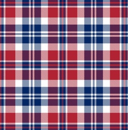 [NCR1017] BRUSH ESTAMPADO CUADROS AZUL ROJO Y BLANCO