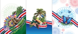 [FPT1000] BRUSH ESTAMPADO FRENTE PATRIOTICO