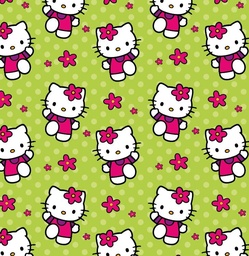 [DHK1015] BRUSH ESTAMPADO HELLO KITTY VERDE
