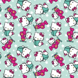 [DHK1016] BRUSH ESTAMPADO HELLO KITTY VERDE AGUA